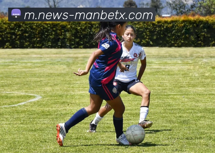 万博体育发展历程